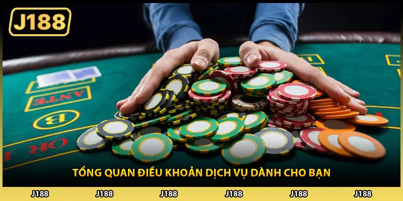 Tổng quan điều khoản dịch vụ dành cho bạn